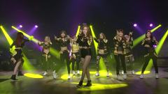 Genie & Hoot0 & Gee