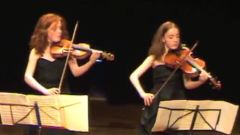 Mozart Duo For Violin & Viola KV 423 (1st Mov)