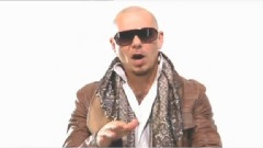 Pitbull - Calle & Chips