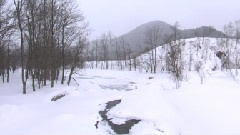 水百景