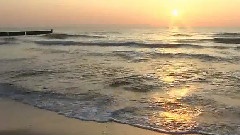 沉香流露