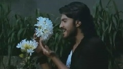 Panchadhara Bomma