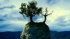 Magical Journey