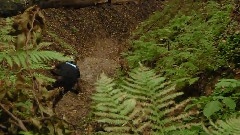 Remek Oleszkiewicz FREERIDE MTB
