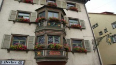 The Beauty Black Forest