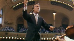 Symphony No.35