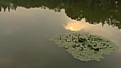 杭州西湖园林