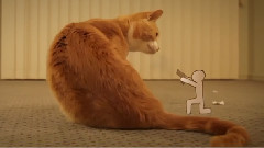 Ginger Cat VS The Paper Army