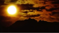 Your Distant World