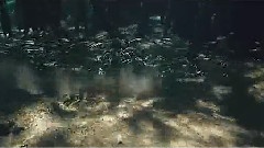 3D海底世界之二