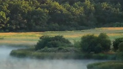 Wild France