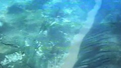 纪录片