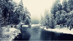 Winter In Yosemite National Park