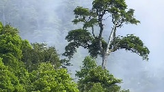 地球最终的尽头