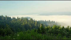 Redwood National Park