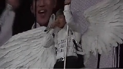 翅膀