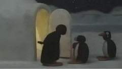 企鹅家族