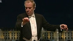 2011美泉宫之夜夏季音乐会