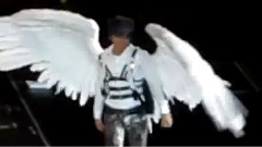Wings