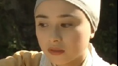 电视剧