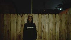 Hive