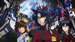 Seed Destiny Tears