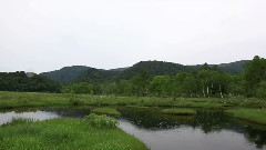 是雨是乐