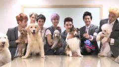 KBS Super Dog 未公开影像