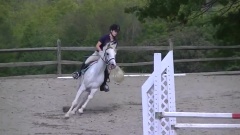 Gangnam Style BCHP Jumper Classic