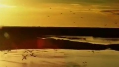 Eternity(Instrumental Arabic Music)
