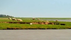 Memory Beach