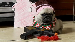 Home Alone