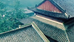 任逍遥