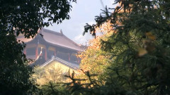飞升