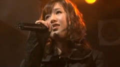 Magnet