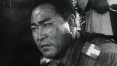 护士之歌