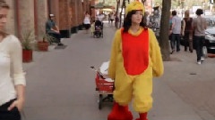 Just A Bird
