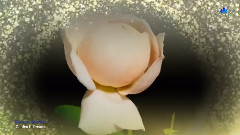Happy Women's Day!