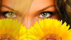 Season For Yellow
