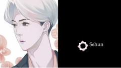 Miraicle奇迹