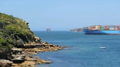 Wonders Of The Sea