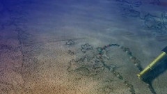 海梦