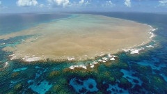 Wonderful Chill Out Music The Ocean