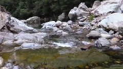 Barrington Tops National Park