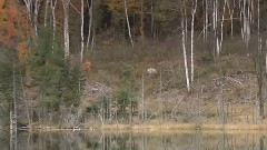 情迷英格兰