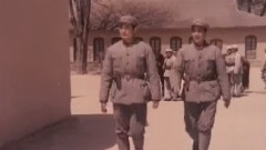 胸中自有百万兵