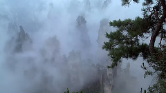 水墨丹青张家界