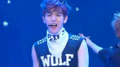 Wolf(狼与美女)
