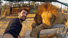 Around The World In 360度