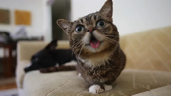 Awkward Moments With BUB And TRUDY